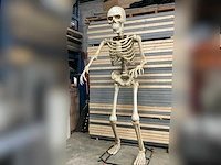 Nieuw in de verpakking halloween skelet 3,35 meter.