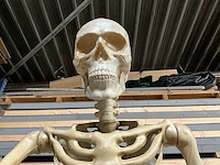 Nieuw in de verpakking halloween skelet 3,35 meter. - afbeelding 5 van  8