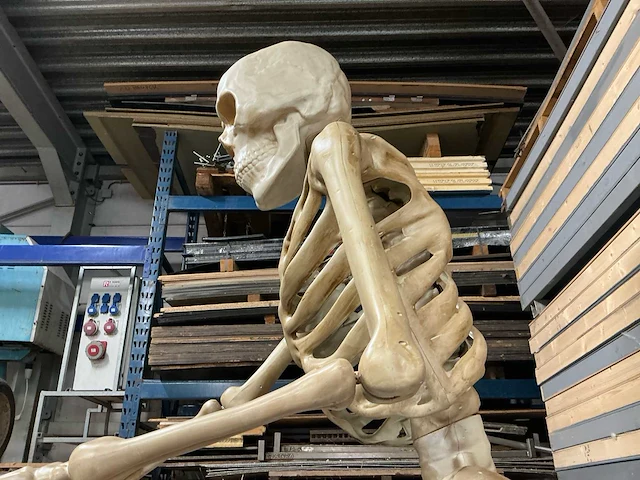Nieuw in de verpakking halloween skelet 3,35 meter. - afbeelding 6 van  8