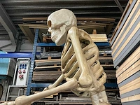 Nieuw in de verpakking halloween skelet 3,35 meter. - afbeelding 6 van  8