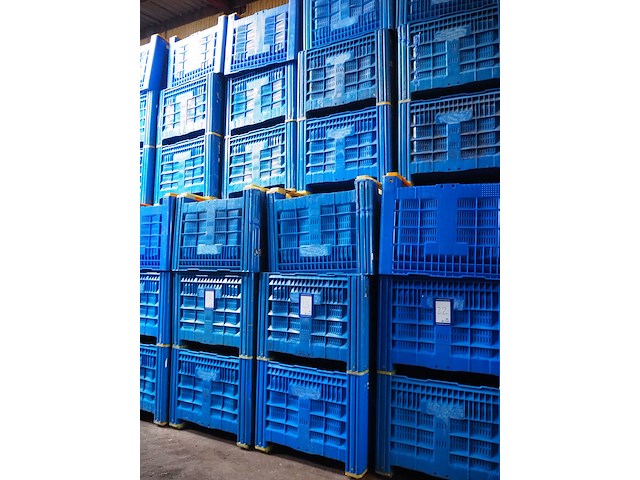 Nn pallet boxes - afbeelding 1 van  2