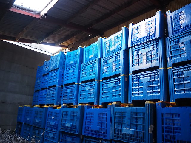 Nn pallet boxes - afbeelding 2 van  3