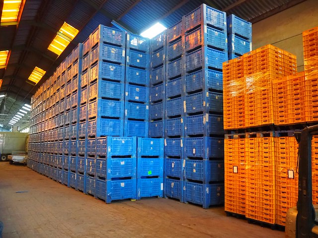 Nn pallet boxes - afbeelding 1 van  5