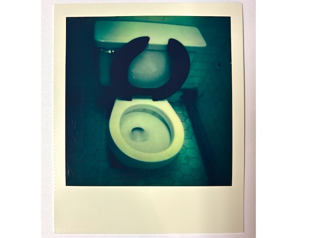 Nobuyoshi araki - polariod - afbeelding 1 van  1