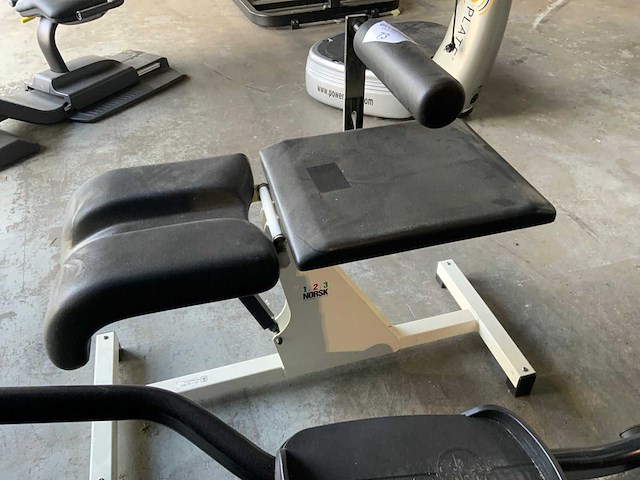 Norsk abdominal bench krachtstation - afbeelding 3 van  4