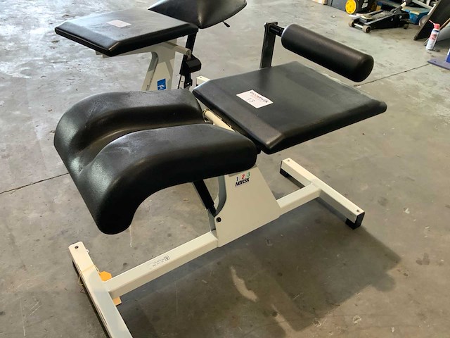 Norsk lowerback bench krachtstation - afbeelding 2 van  4