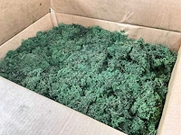 Norske moseprodukter decoration moss divers rendiermos