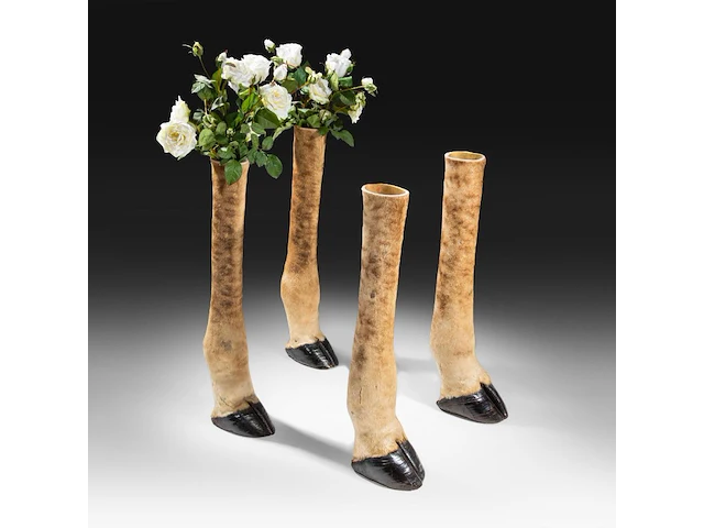 Northern giraffe (giraffa camelopardalis) legs mount, taxidermy trophy, h 77,5 cm - total weight 20,4kg - afbeelding 3 van  3