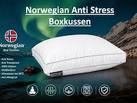 Norwegian anti-stress boxkussen - afbeelding 1 van  1
