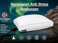 Norwegian set - 2x boxkussen + 1x dekbed 240x200cm - afbeelding 3 van  4