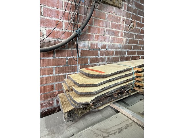Notelaar - afbeelding 1 van  2
