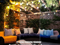 Nuptio orkaan kandelaar goud 6 stuks - afbeelding 6 van  7