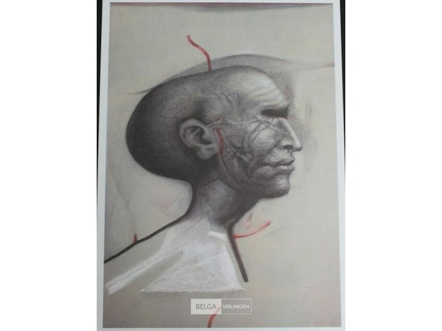 Octave landuyt - afbeelding 1 van  1