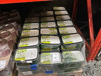 Oecoplan muurverf (82x) - afbeelding 1 van  1