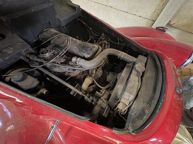 Oldtimer no papers - afbeelding 8 van  17