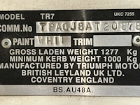 Oldtimer triumph tr7 - afbeelding 22 van  45