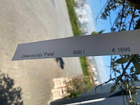 Olea europea ramificado 500l olijfboom - afbeelding 4 van  4
