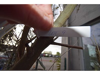 Olijf oranje schaal - olive tree - afbeelding 2 van  5