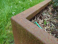 Olijfboom in cortenstalen bak - afbeelding 8 van  8