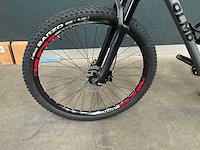 Olmo bignone mountainbike