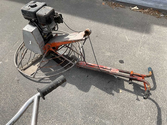 Onbekend cementvlinder - afbeelding 4 van  6