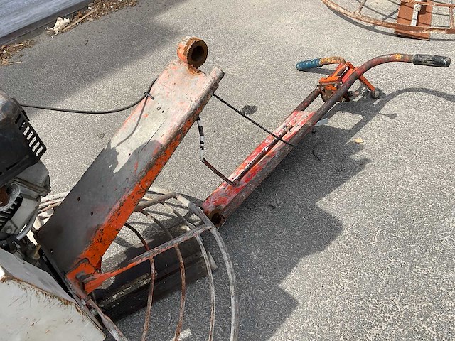 Onbekend cementvlinder - afbeelding 5 van  6