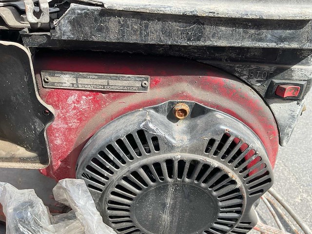 Onbekend cementvlinder - afbeelding 6 van  6