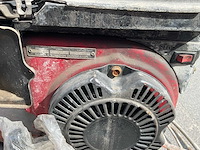 Onbekend cementvlinder - afbeelding 6 van  6