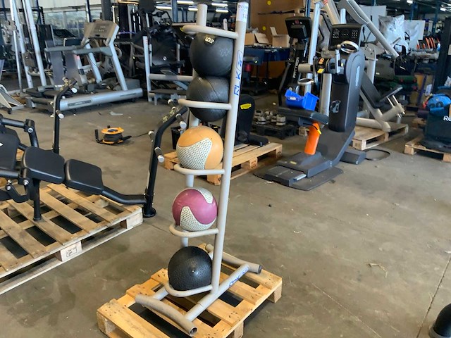Onbekend medicine ball met rek 5x ball krachtstation - afbeelding 1 van  1