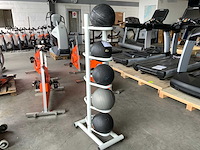 Onbekend medicine balls met rek krachtstation
