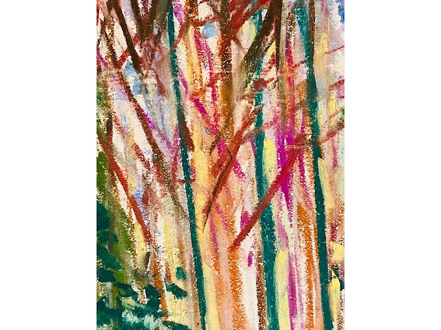 Onbekende meester (mongram jv) - boszicht - pastel - topwerk - afbeelding 4 van  16