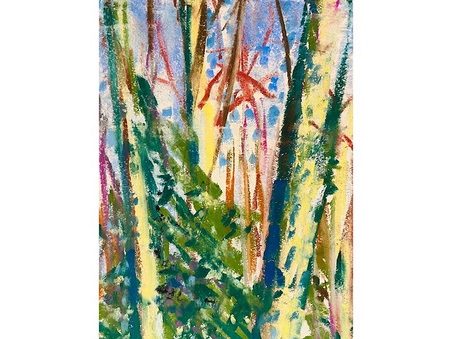 Onbekende meester (mongram jv) - boszicht - pastel - topwerk - afbeelding 5 van  16