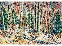 Onbekende meester (mongram jv) - boszicht - pastel - topwerk - afbeelding 9 van  16