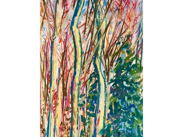 Onbekende meester (mongram jv) - boszicht - pastel - topwerk - afbeelding 10 van  16