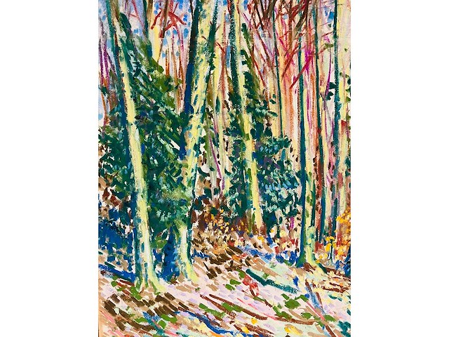 Onbekende meester (mongram jv) - boszicht - pastel - topwerk - afbeelding 12 van  16