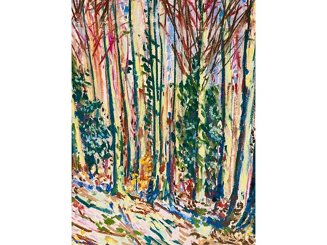 Onbekende meester (mongram jv) - boszicht - pastel - topwerk - afbeelding 15 van  16