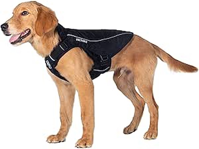 Onetigris achilles hondenjas m. - afbeelding 1 van  5