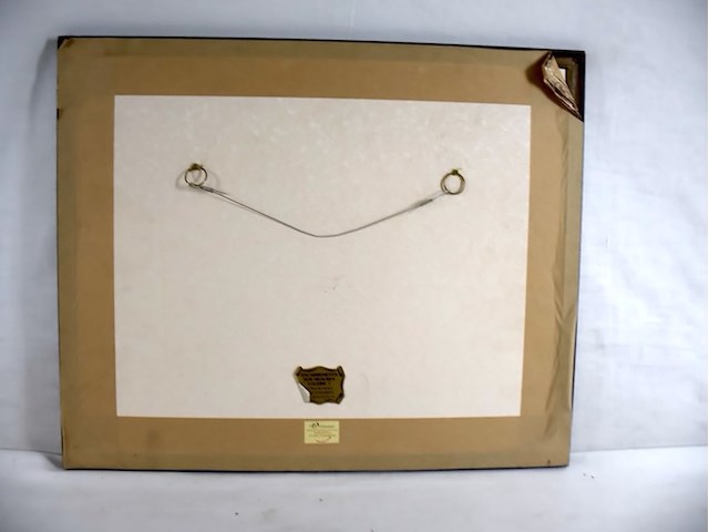 Ongekend - afbeelding 4 van  4