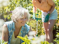 Onkruid steker/verwijderen - afbeelding 5 van  6