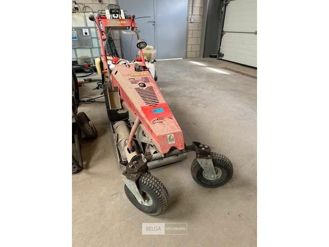 Onkruidbrander adler op gas - afbeelding 1 van  6