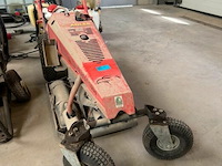 Onkruidbrander adler op gas - afbeelding 1 van  6