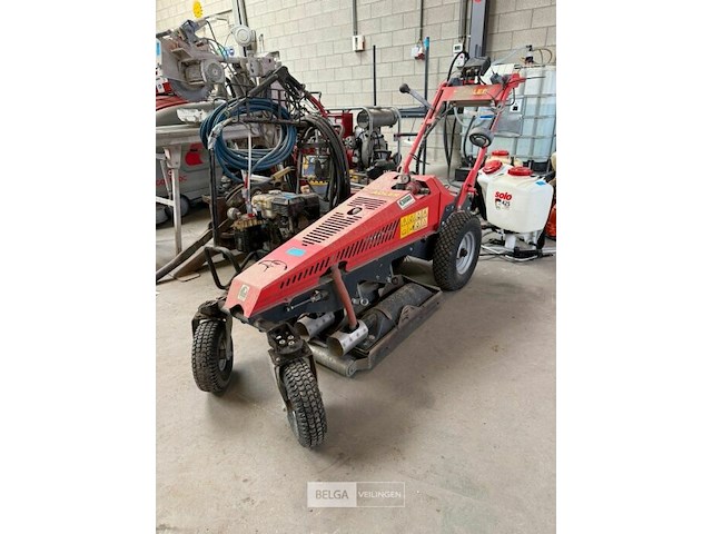 Onkruidbrander adler op gas - afbeelding 2 van  6