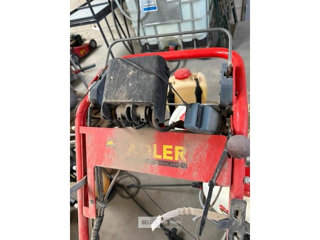 Onkruidbrander adler op gas - afbeelding 4 van  6