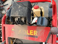 Onkruidbrander adler op gas - afbeelding 4 van  6