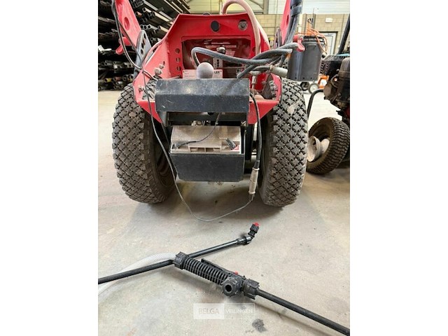 Onkruidbrander adler op gas - afbeelding 6 van  6