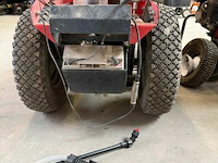 Onkruidbrander adler op gas - afbeelding 6 van  6