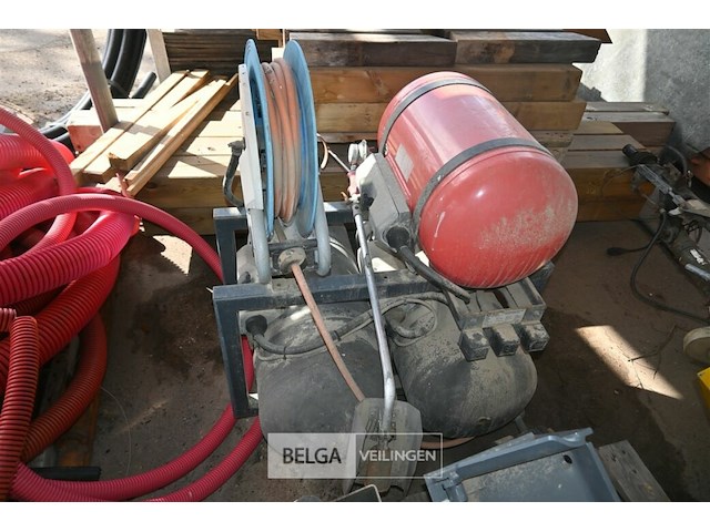 Onkruidbrander hoaf - afbeelding 2 van  6