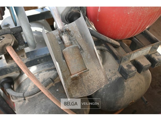 Onkruidbrander hoaf - afbeelding 3 van  6