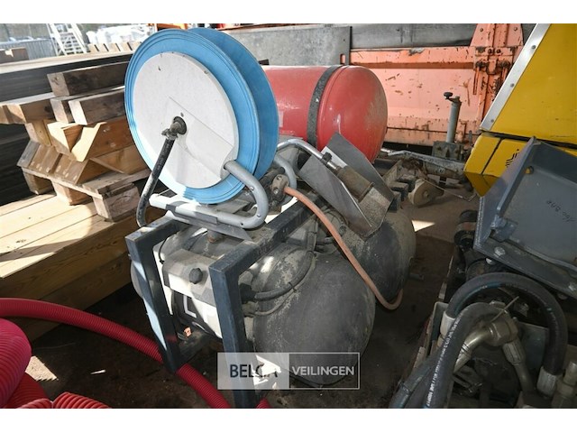 Onkruidbrander hoaf - afbeelding 4 van  6