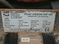 Onkruidbrander hoaf - afbeelding 5 van  6